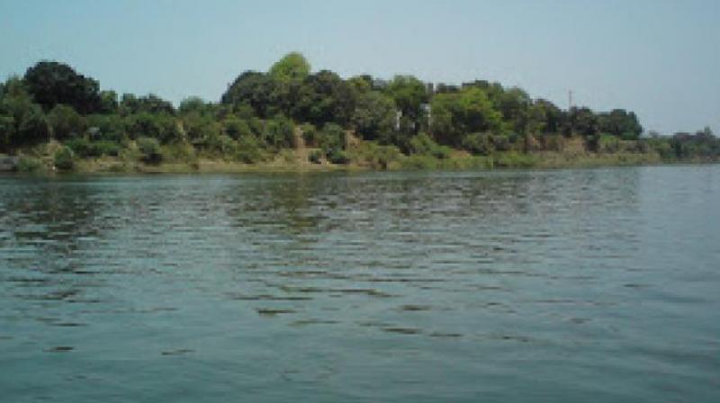 नर्मदा नदी की दुख व्यथा