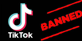 पाकिस्तान ने भी चाइनीज ऐप TikTok को किया बैन