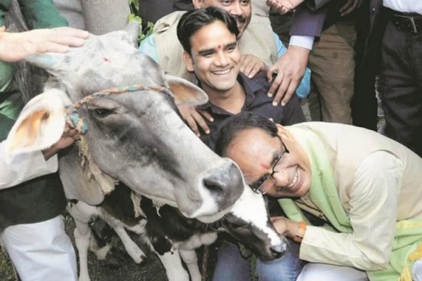 गायों की सुरक्षा के लिए सीएम शिवराज सिंह चौहान का एक और बड़ा ऐलान