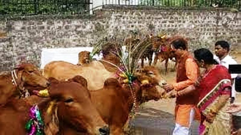 सीएम शिवराज का ऐलान, आंगनवाड़ियों में बच्चों को अण्डे की जगह दिया जाएगा गाय का दूध