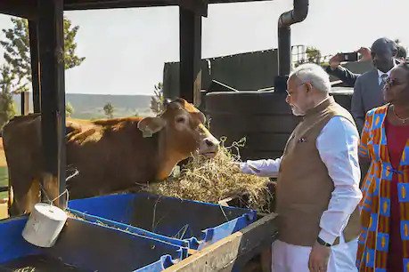 राष्ट्रीय कामधेनु आयोग ने गोमय दीपक को जन जन के मध्य लोकप्रिय बनाने हेतु राष्ट्रीय स्तर पर कामधेनू दीपावली अभियान मनाने का किया संकल्प