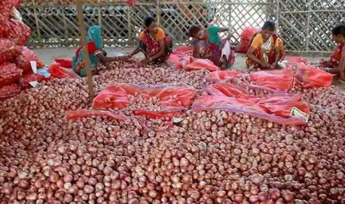 प्याज के रेट कहीं तो 100 रुपये किलो, कहीं 35 रुपये