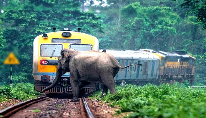 संबलपुर डिविजन में पटरी से उतरी पुरी-सूरत एक्सप्रेस ट्रेन, बड़ा हादसा टला