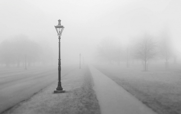 शीतलहर और कोहरे की वजह से उत्तर भारत में बढ़ी ठंड Outbreak of cold AND FOG continues in North India. After snowfall in Himachal Pradesh on Sunday, the entire North India is again in the grip of severe cold.