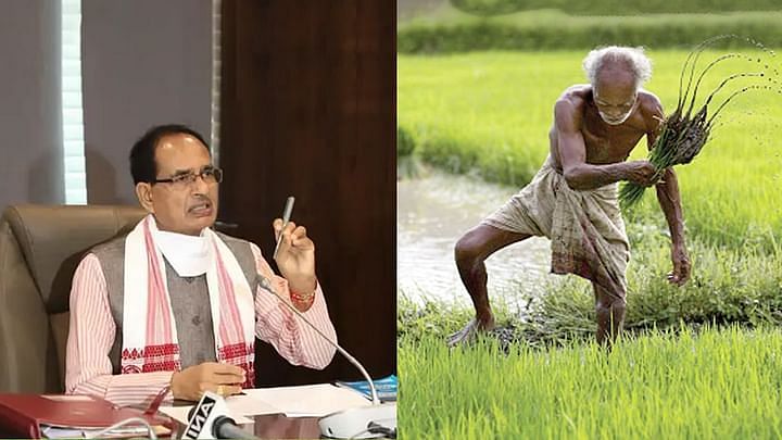 जो भी किसानों का भुगतान रोके, उसे जेल भेजें- मुख्यमंत्री शिवराज सिंह चौहान Chief Minister Shivraj Singh Chauhan has said that every single grain of wheat of the farmers will be purchased. All arrangements for wheat procurement have been ensured in advance in all districts. To ensure that farmers do not face any problem, extensive arrangements will be made and all necessary facilities will be made available at the procurement centers.