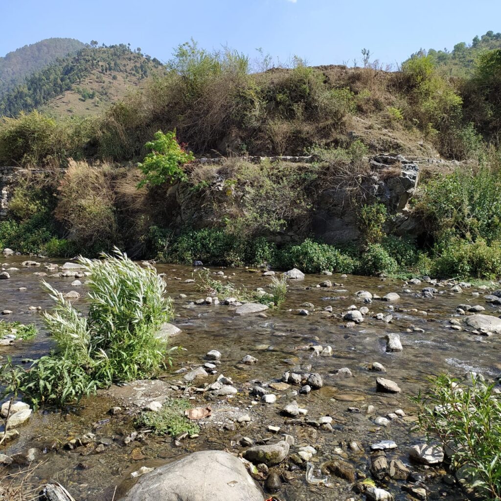 जौनपुर कत्युर की अगलाड नदी में चलाया गया स्वच्छता अभियान Cleanliness campaign was carried out in the Nayalad River of Jaunpur Katyur through the collective efforts of Hildari, Devalasari