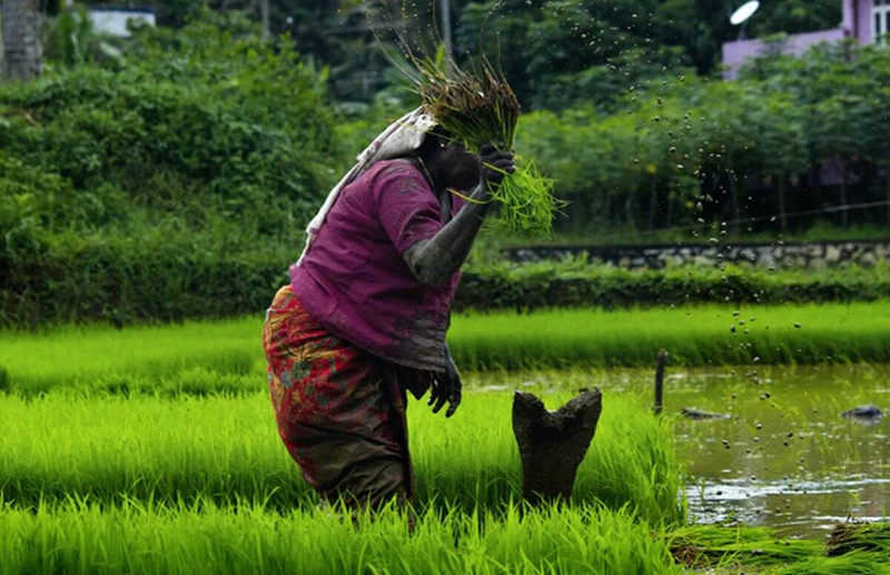 PM Kisan की 8वीं किस्त प्रधानमंत्री मोदी जारी करेंगे, 14 मई को होगी रिलीज There is great news for crores of farmers of the country. The Prime Minister may also release the 8th installment of the PM Kisan Samman Nidhi Scheme this time. On 14 May, he can announce it once again through the farmers.