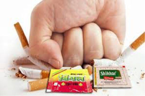 तंबाकू सेवन करने वालों को कोरोना का खतरा ज्यादा- प्रोफेसर सक्सेना Tobacco or any other form of intoxication in the Corona period adversely affects our health. Anyway, consumption of tobacco increases lung
