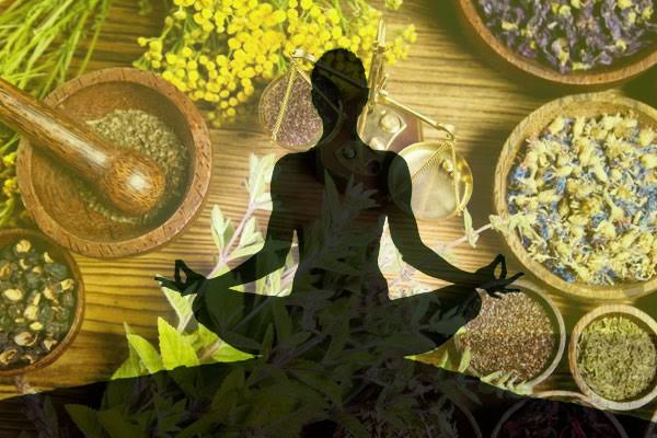 आयुर्वेद : इतिहास, उपादेयता एवं प्रासंगिकता
