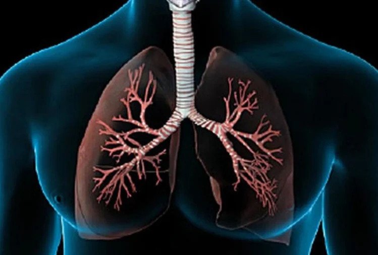 फेफड़ें को रखना है स्वस्थ तो जरूर करें ये पांच आसन Cases of corona infection are increasing rapidly in the country and its direct effect is on the lungs, its advice is to strengthen the lungs.