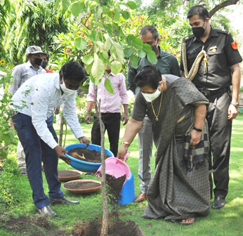 राज्यपाल ने विश्व पर्यावरण दिवस के अवसर पर राजभवन में किया पौधरोपण Governor Ms. Anusuiya Uikey planted a sapling on the occasion of World Environment Day in the garden of Raj Bhavan complex here today. He planted Amaltash, Kachnar, Sandalwood, Ficus and Golden Cyprus saplings on the occasion.