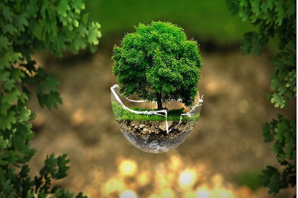 वेदों में पर्यावरण विज्ञान