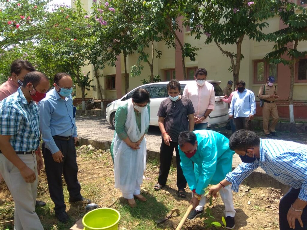 उत्तराखण्ड: विश्व पर्यावरण दिवस के अवसर पर राज्य में विभिन्न स्थानों पर किया गया वृक्षारोपण