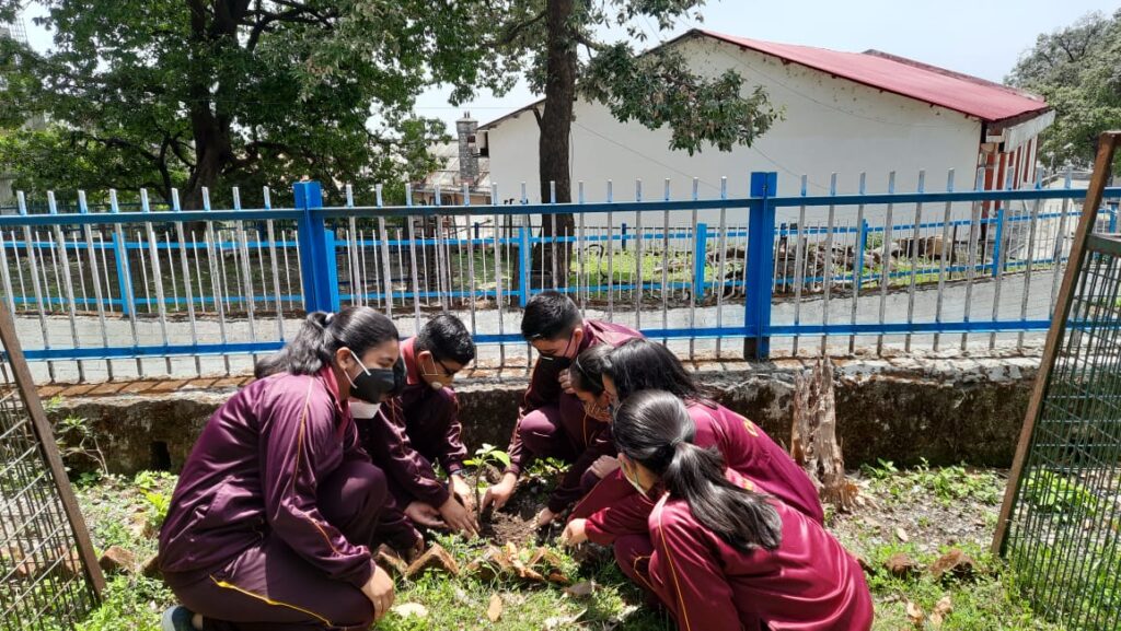 ओक ग्रोव स्कूल में मनाया गया पर्यावरण दिवस Today, the World Environment Day was celebrated by the school children at the prestigious Oak Grove School of Northern Railway