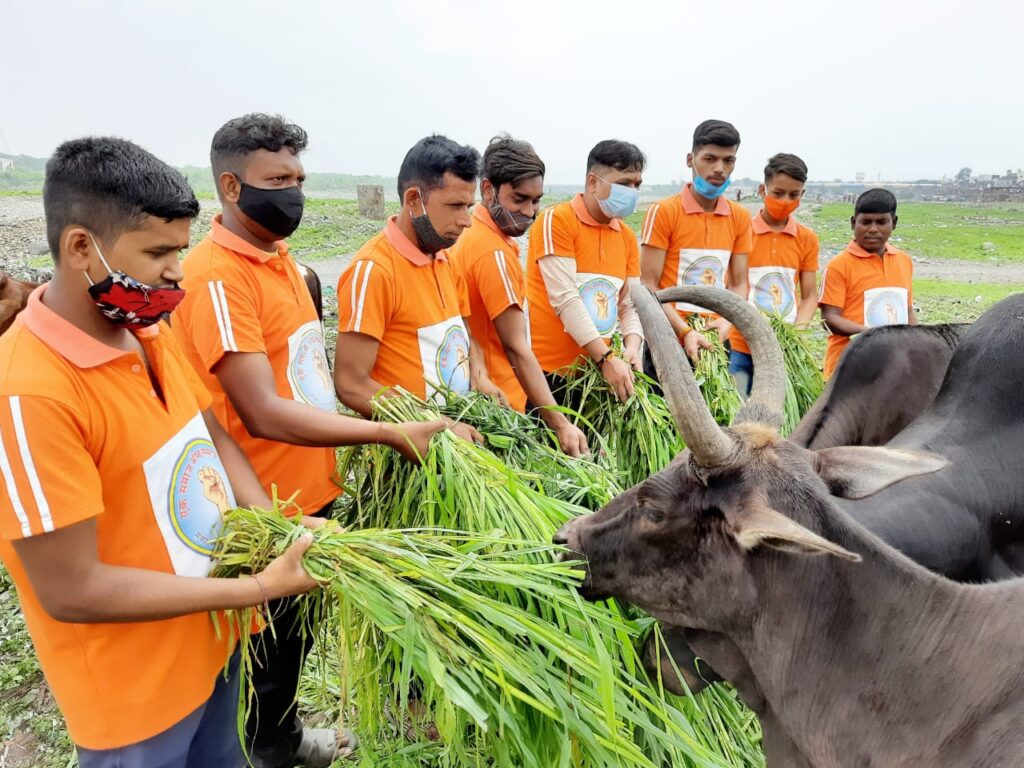 समाज श्रेष्ठ समाज संस्था सदस्य दीपक कुमार व रितिक साहू.. गौ माता की कर रहे सेवा Gau Mata of Haldwani town lives due to the lockdown done by the society under the leadership of Deepak Kumar and Hrithik Sahu, a Samaj
