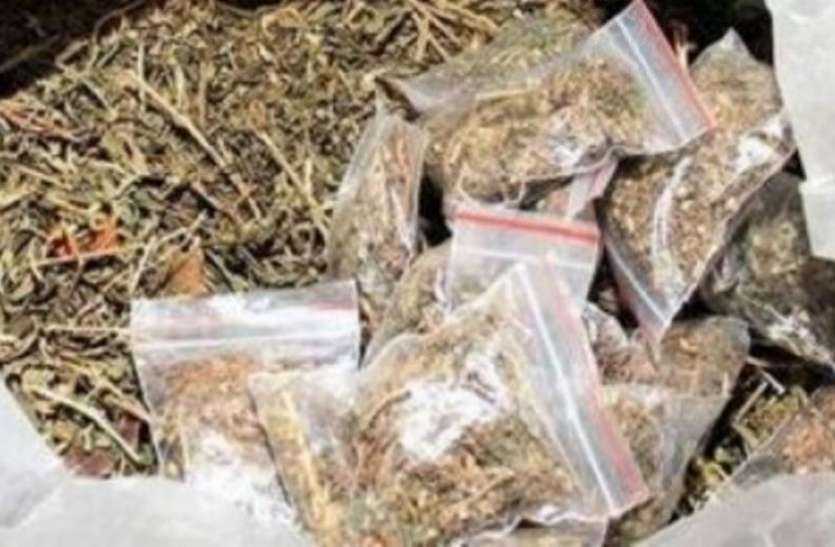The Pune unit of DRI has seized 1878 kg of ganja from a truck on the Pune-Solapur highway. The total value of the seized ganja