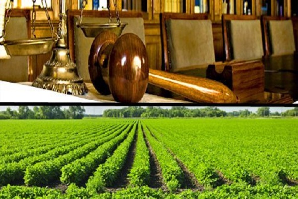 केंद्र सरकार की बढ़ी मुश्किलें, अकाली दल करेगा कृषि कानून के खिलाफ गैर कांग्रेसी विपक्ष का नेतृत्व The on-going movement for agriculture law is not taking its name to end. Meanwhile, before the monsoon session