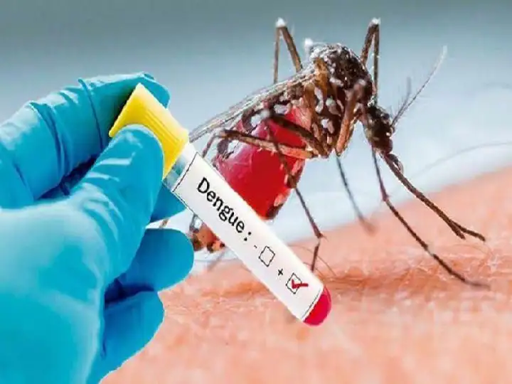 फिरोज़ाबाद और मथुरा के बाद अब प्रयाग राज में भी डेंगू का प्रकोप Dengue is becoming increasingly serious in Uttar Pradesh. After scary figures in Firozabad and Mathura, Dengue is now spreading