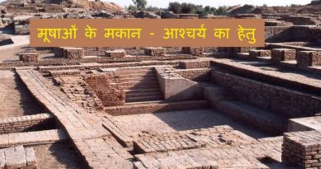 मूषाओं के मकान – आश्चर्य का हेतु