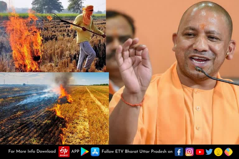 किसानों पर मेहरबान योगी सरकार ने किया ऐलान, पराली जलाने के दर्ज करीब 900 केस लिए वापस In view of the upcoming assembly elections and the impact of the farmers' movement in western Uttar Pradesh, the CM Yogi government