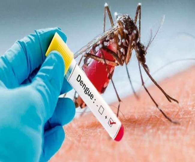 फिरोजाबाद में डेंगू-वायरल ने मचाया कोहराम, 12,000 से अधिक लोग हुए शिकार