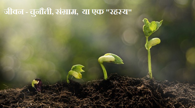 जीवन – चुनौती, संग्राम, या एक “रहस्य”