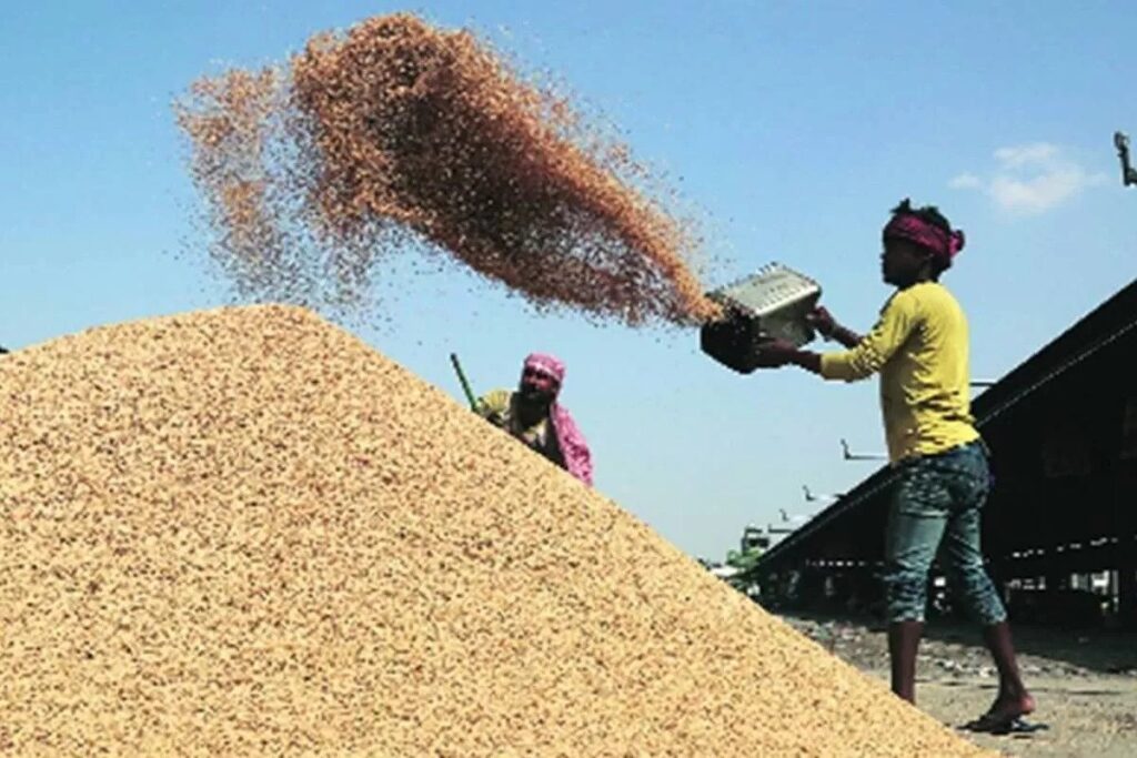 During the second fortnight of September 2021, heavy rainfall has occurred over Punjab and Haryana. Unseasonal rains raised paddy