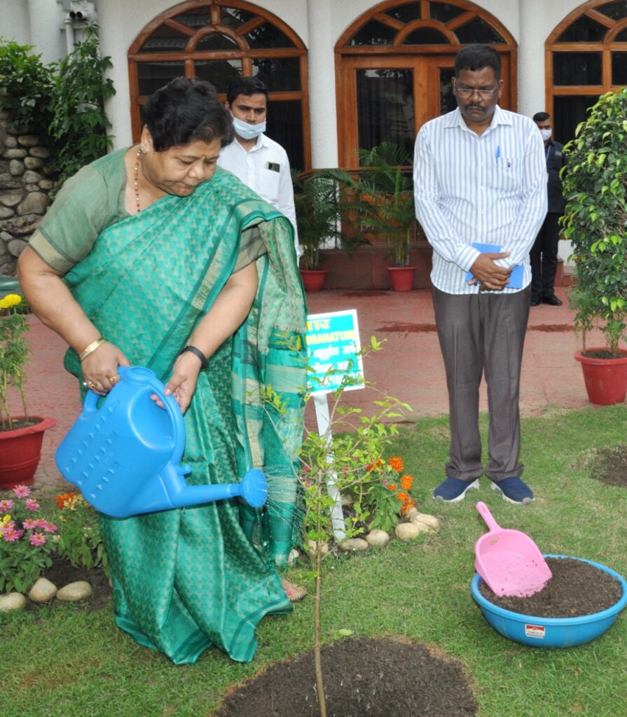 राज्यपाल अनुसुईया उइके ने पितृ पक्ष के अवसर पर किया पौधरोपण Governor Ms. Anusuiya Uikey planted saplings at Raj Bhavan on the occasion of Pitru Paksha. He appealed to the citizens that everyone