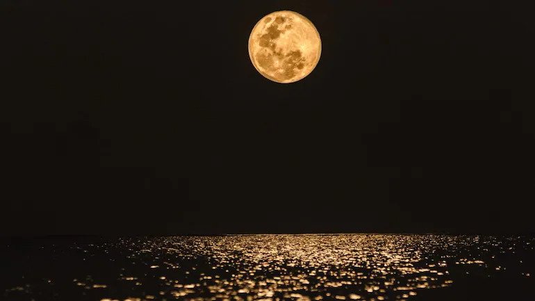19 नवंबर को मनाई जाएगी कार्तिक पूर्णिमा, यहां जानें महत्व और पौराणिक कथा Purnima fasting holds an important place in Hinduism. There are 12 full moons every year. When Adhikmas or Malmas comes,