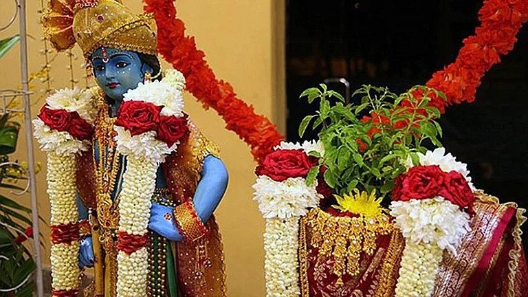 तुलसी विवाह के दिन जरूर पढ़ें तुलसी चालीसा, मिलेगी रोगों से मुक्ति Tulsi marriage has special significance in Hinduism and it is said that by doing Tulsi marriage, one gets the virtue equal to that of