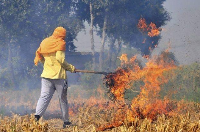 चन्नी सरकार का केंद्र के खिलाफ SC में दाखिल किया हलफनामा, कहा- पराली जलाने पर रोक के लिए नहीं की मदद Politics continues in Delhi-NCR regarding the deadly air. The hearing on the issue of pollution is going on in the Supreme Court.