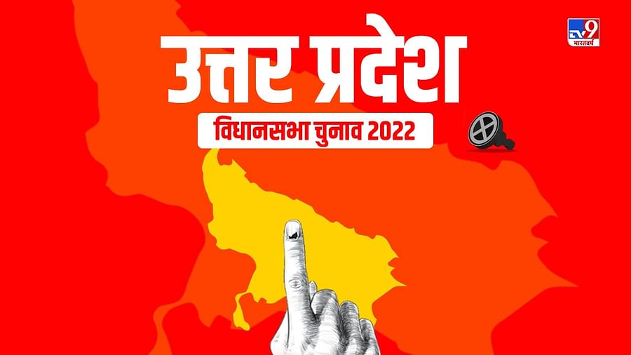 यूपी विधानसभा चुनाव: समाजवादी पार्टी ने सांडों के हमले से मरने वालों को 5 लाख रुपये मुआवजा देने का वादा किया The Samajwadi Party on Tuesday condemned all the persons who lost their lives in bullfighting when it came to power after the