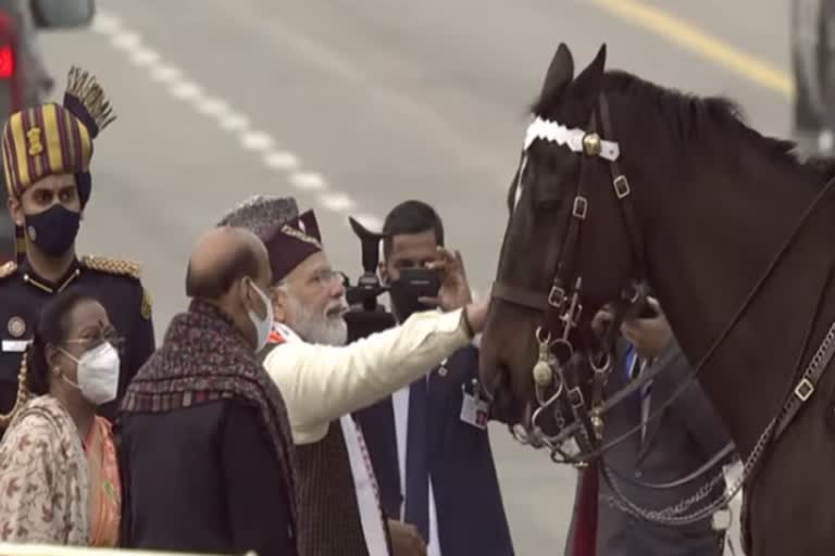 घोड़े विराट को मिला कमेंडेशन कार्ड, उत्कृष्ट सेवा के किया गया सम्मानित