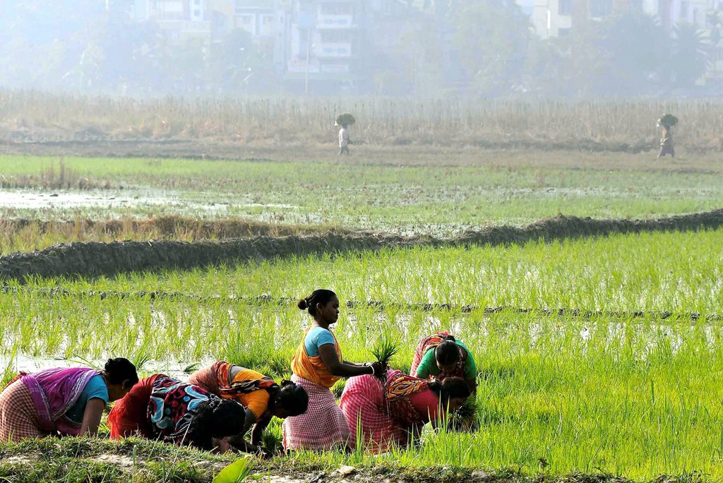 Prime Minister Narendra Modi discussed the provisions of the budget in the agriculture sector through video conferencing on Thursday.