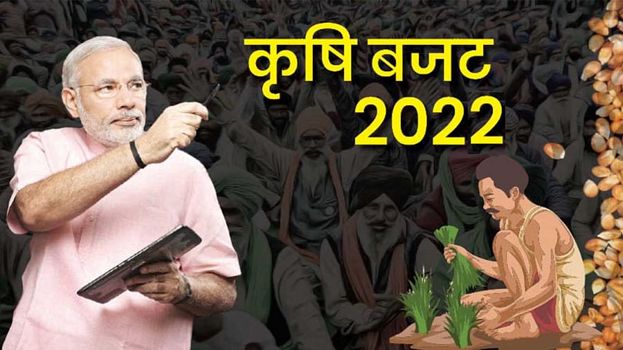 सरकार जैविक खेती और तिलहन उत्पादन को देगी बढ़ावा, राज्यों में खोले जाएंगे कृषि विश्वविद्यालय Finance Minister Nirmala Sitharaman is presenting the Union Budget for the country. While presenting the budget on Tuesday, he talked
