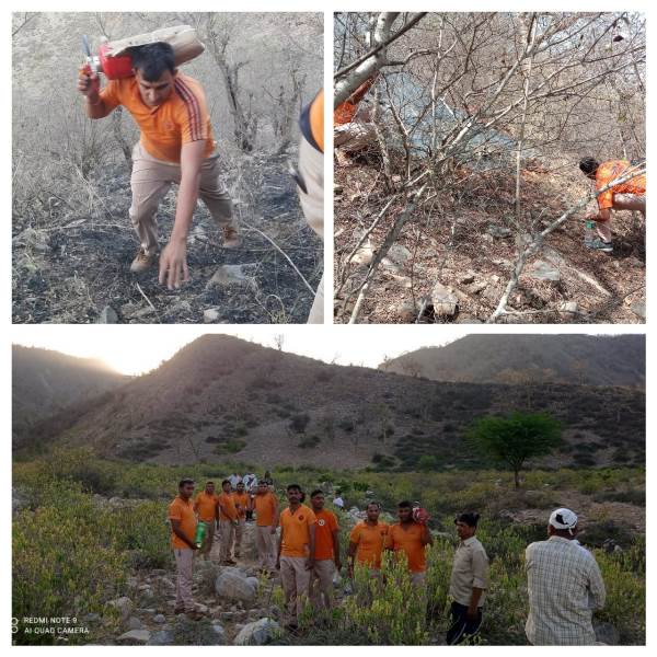 सरिस्का टाइगर रिजर्व के जंगलों में लगी आग हुई शांत, एसडीआरएफ ने निभाई अहम भूमिका