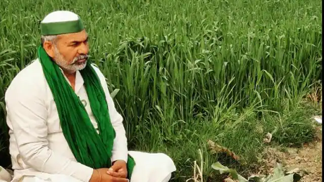 किसानों की फसल कम दाम पर लूटनेवाले दलालों पर भी बुलडोजर चलाया जाएः राकेश टिकैत
