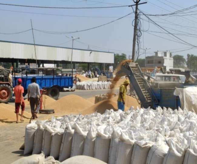 किसानों के गेहूं की बंपर खरीद, एमएसपी से 500 रुपये ज्यादा तक खरीद रहे आढ़ती