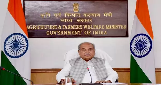 पीएम मोदी की पहल पर, संयुक्त राष्ट्र ने 2023 को ‘बाजरा के अंतर्राष्ट्रीय वर्ष’ के रूप में घोषित किया- नरेंद्र सिंह तोमर