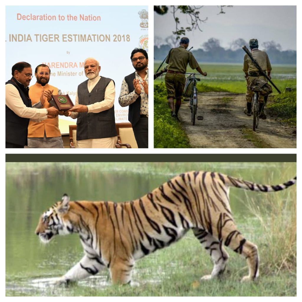 प्रधानमंत्री मोदी ने अंतर्राष्ट्रीय बाघ दिवस के अवसर पर बाघ संरक्षणवादियों के प्रयासों के लिए की सराहना