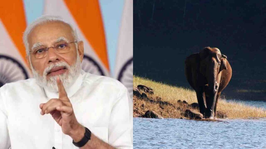 प्रधानमंत्री ने विश्व हाथी दिवस पर हाथी संरक्षणवादियों के प्रयासों की सराहना की
