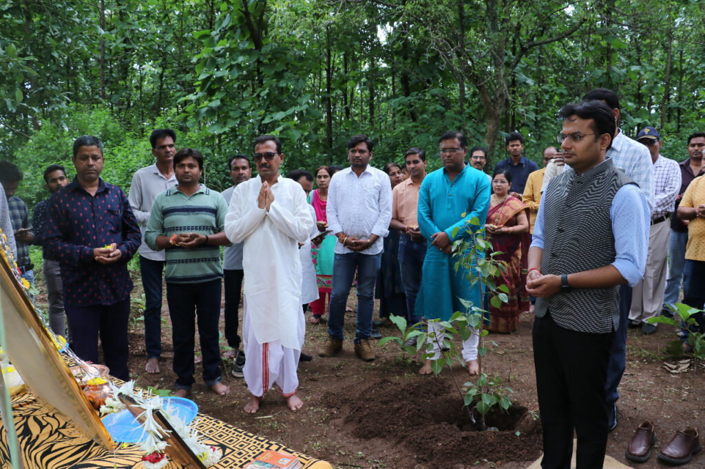 पाआमा नर्सरी में कलेक्टरल सौरव सुमन के अध्यक्षता में लगाए गए 1300 विभिन्न प्रजाति के पेड़ पौधें