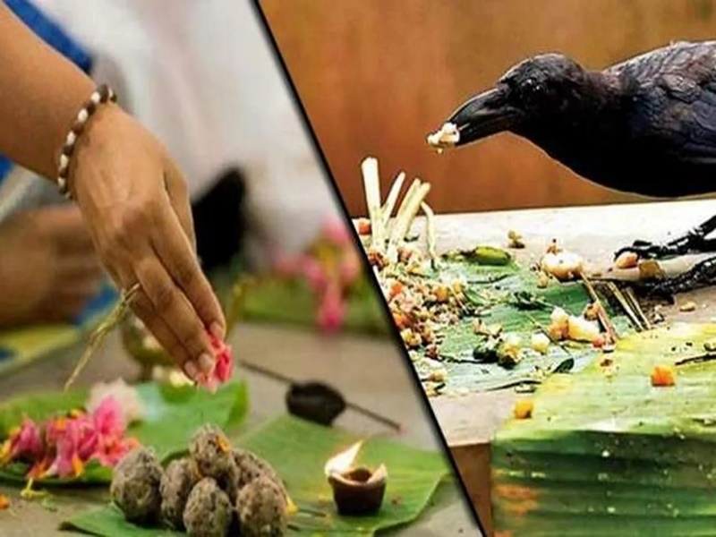 संस्कृति- पितृपक्ष : पूर्वजों का पखवाड़ा
