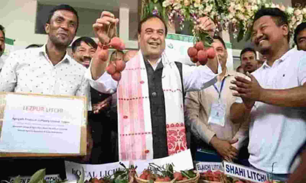असम के सीएम हिमंत ने पीएम को भेजा तेजपुर की लीची, पीएम मोदी ने दिया धन्यवाद