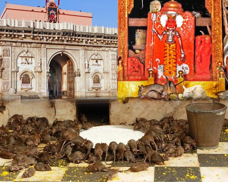 करणी माता देशनोक