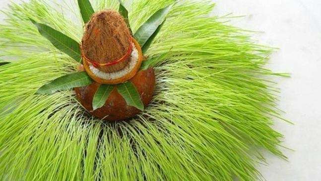 अन्न के सम्मान का संदेश है नवरात्रि पूजा में जवारे बोना