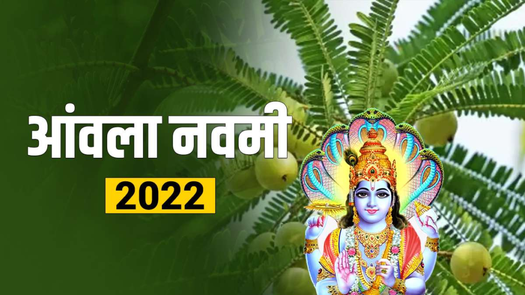 अक्षय नवमी : वृक्षवाची, युगवाची पर्व- आंवला_नवमी