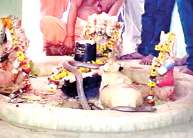 निष्काम सेवा भाव ही असली दान है!!
