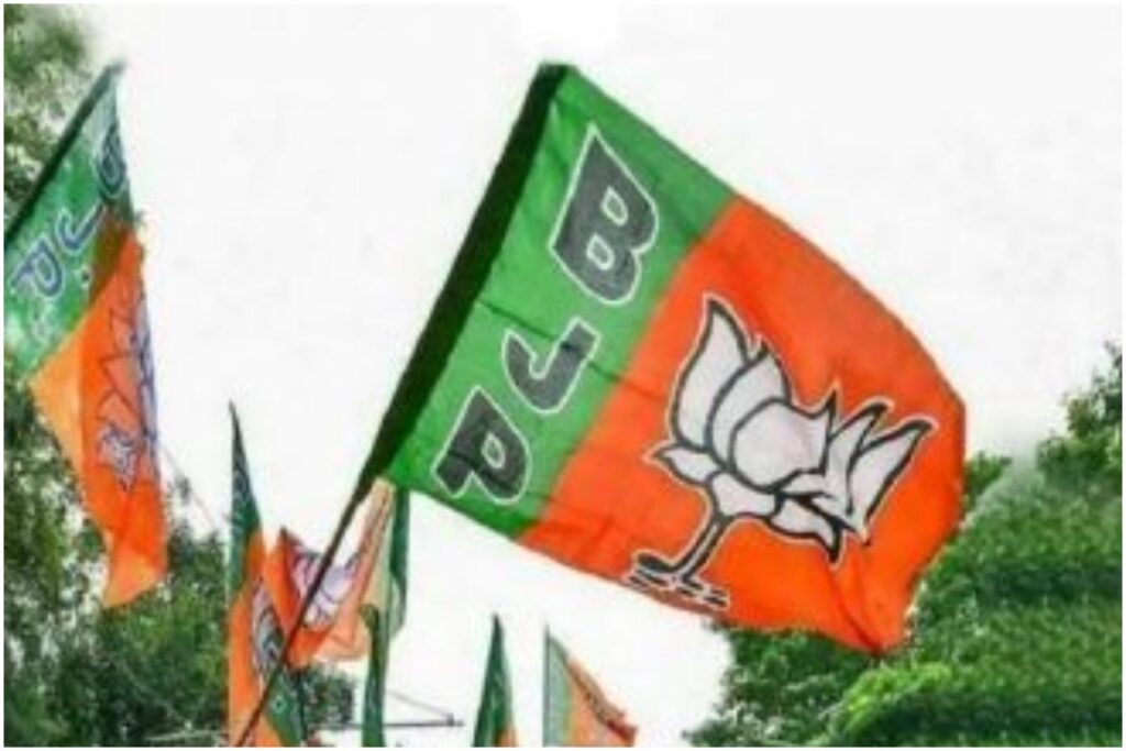 गुजरात विधानसभा चुनाव के लिए आधा दर्जन बीजेपी नेताओं ने निर्दलीय के तौर पर दाखिल किया नामांकन