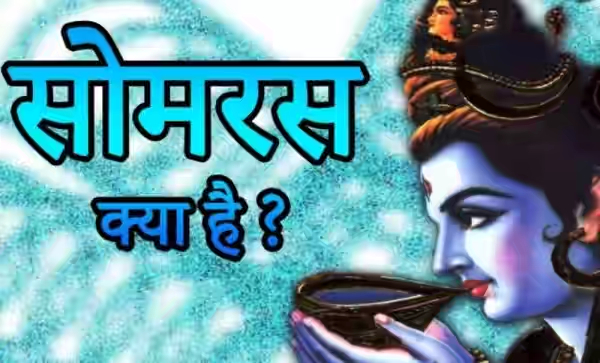 सनातन धर्म में सोमरस का आशय मदिरा सेवन नही है, ना ही सोमरस नशीला पदार्थ है.